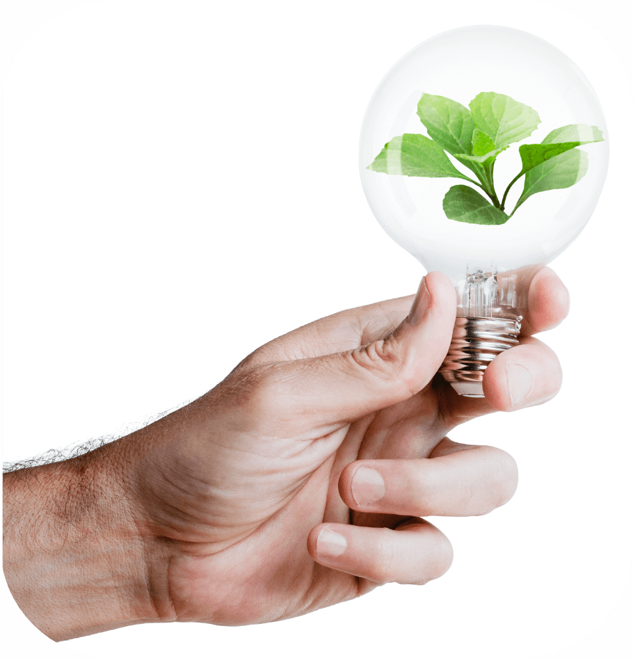 A human hand holding a light bulb with a plant inside of it